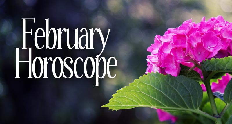 February Horoscope 2013